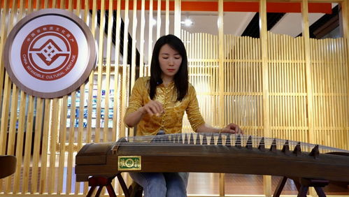 旅游志愿服務全面升級 景上添花的旅游信息咨詢